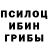 Галлюциногенные грибы MAGIC MUSHROOMS Envaiser JG
