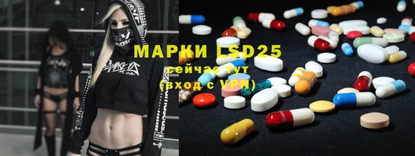 PSILOCYBIN Алзамай