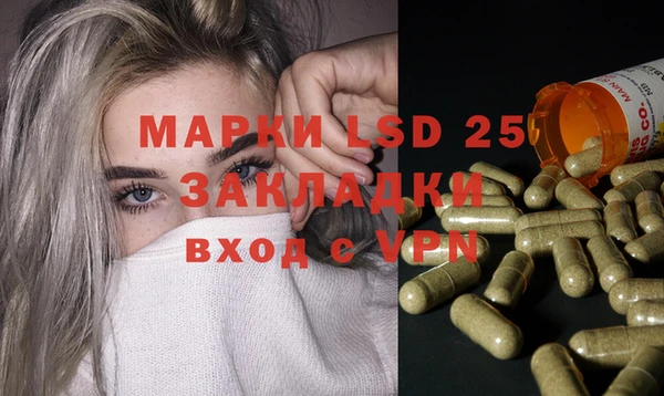 стафф Алексин