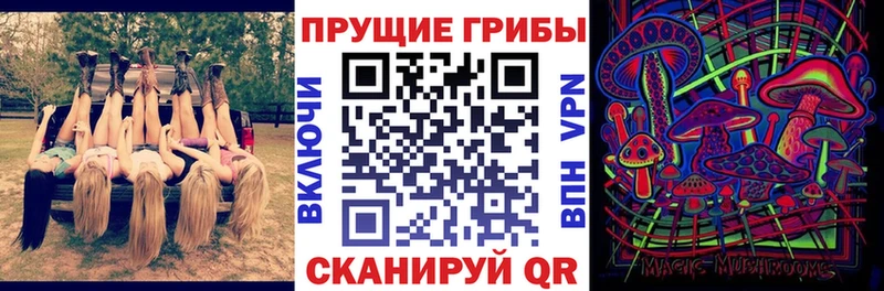 mega зеркало  Любань  Псилоцибиновые грибы Magic Shrooms 